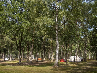Tent meadow 