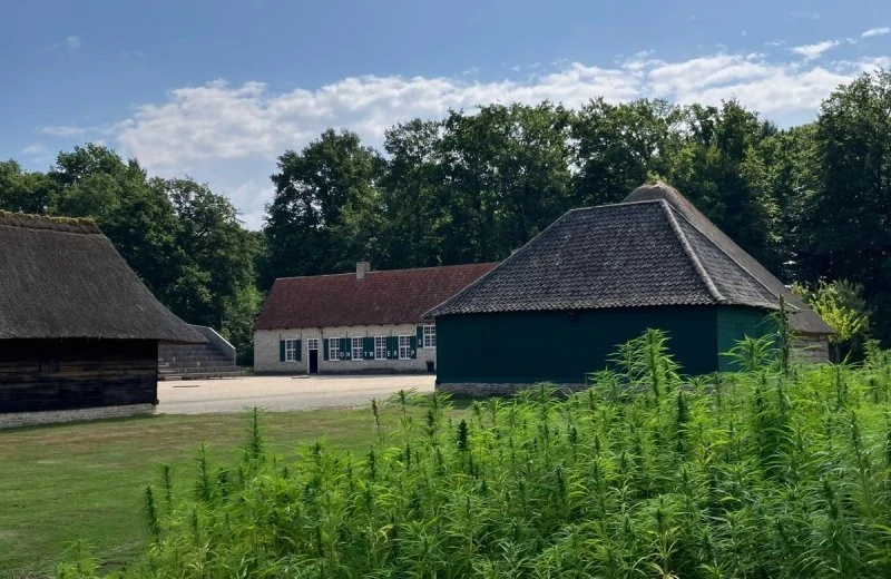 Bokrijk Estate
