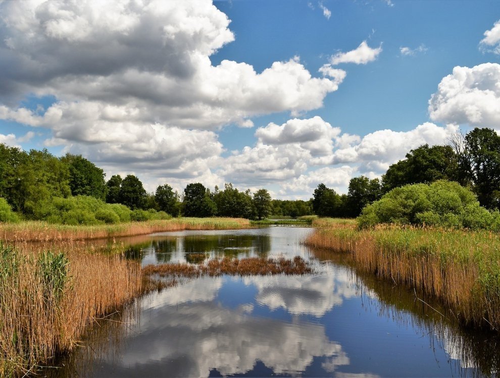 De Maten nature reserve