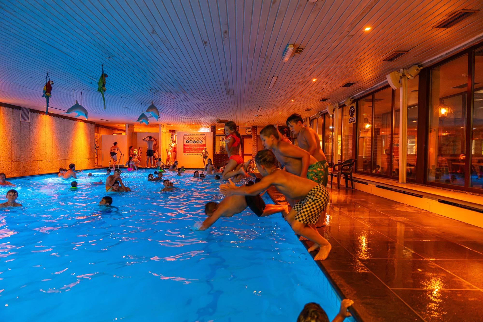 Indoor swimming pool